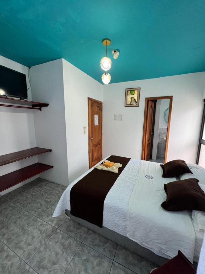 Hostal Brisas Del Mar بْوُرتو فيلاميل المظهر الخارجي الصورة